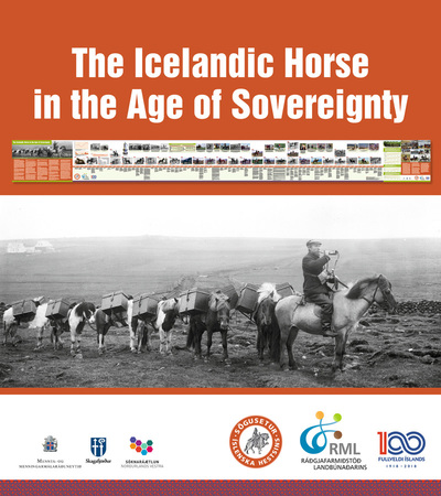 The Icelandic horse